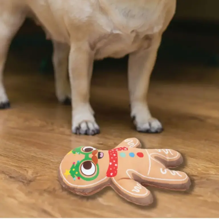 Xmas Pet Accessories