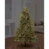 Premier 1000 LED TreeBrights Multi-Colour