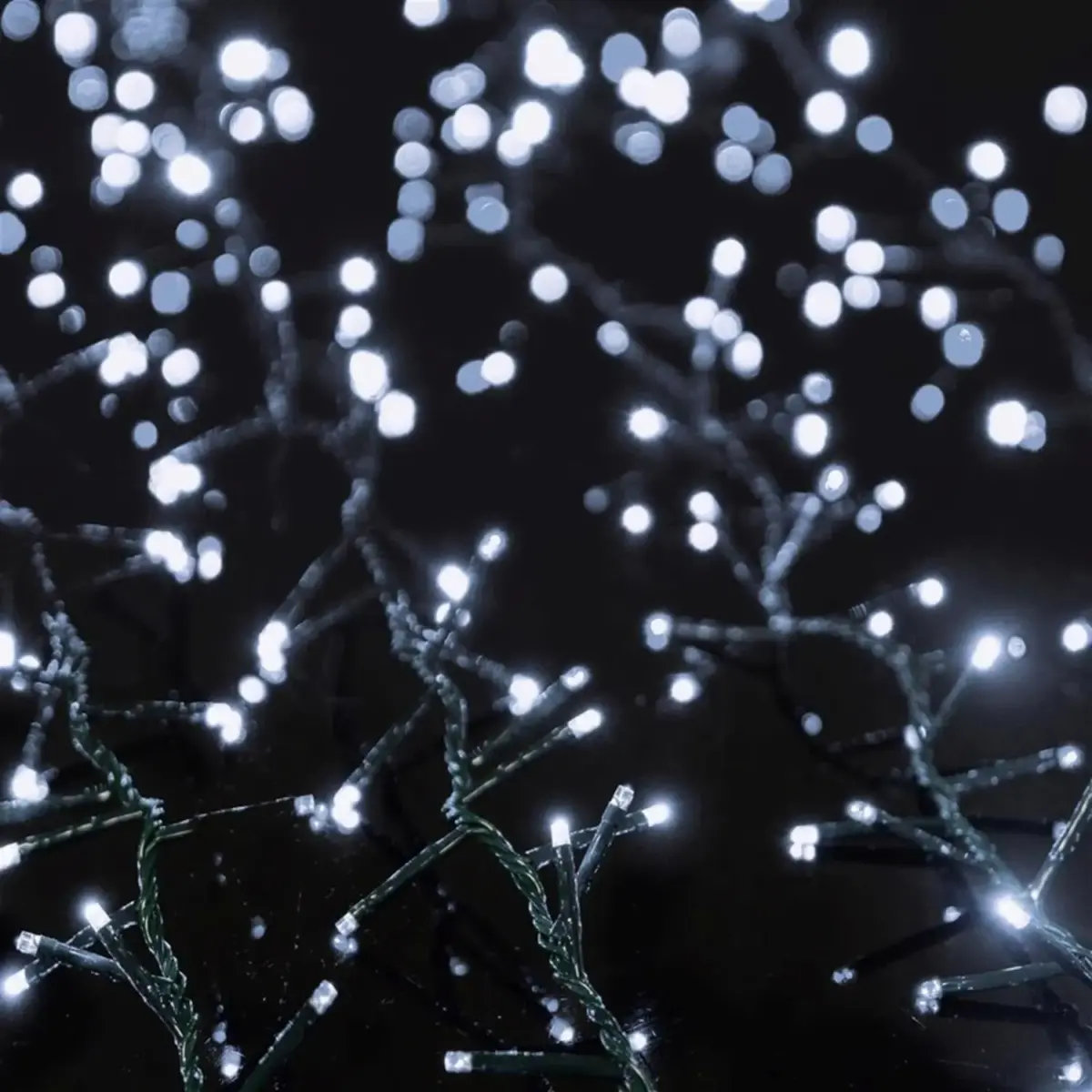 Premier 1000 LED Treebrights White