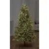 Premier 1000 LED Treebrights Warm White