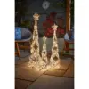 Three Kings GoldTwist Starbelisk 80cm