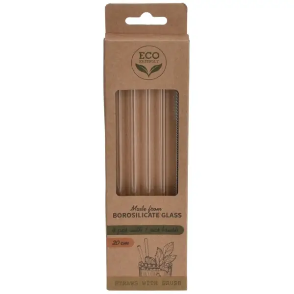 Drinking Straws Glass Set 5Pk