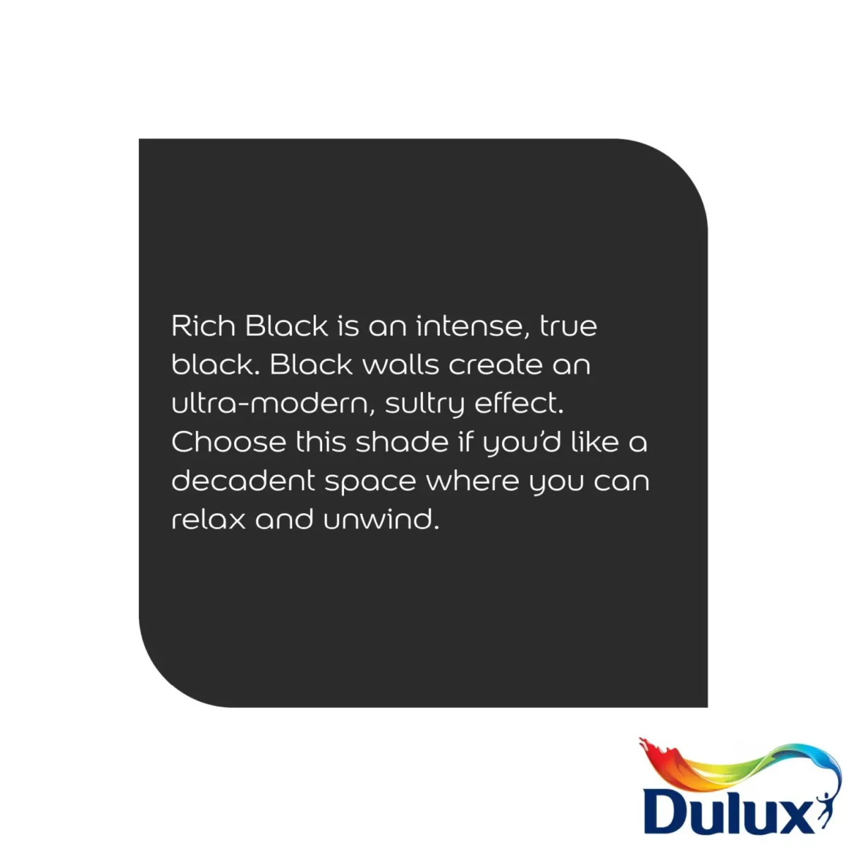 Dulux Matt  Rich Black 2.5L - Image 4