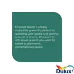 Dulux Matt Emerald Glade 2.5L - Image 5
