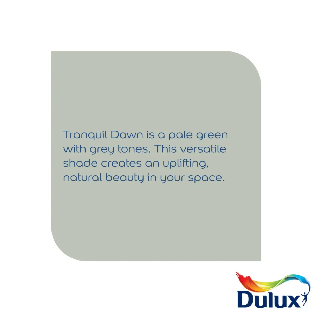 Dulux Matt Tranquil Dawn  2.5L - Image 4