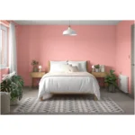 Dulux 2.5Ltr Matt Boho Blush - Image 6