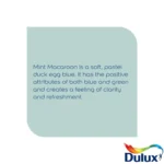 Dulux Matt Mint Macaroon 2.5L - Image 4