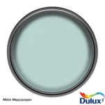 Dulux Matt Mint Macaroon 2.5L - Image 5