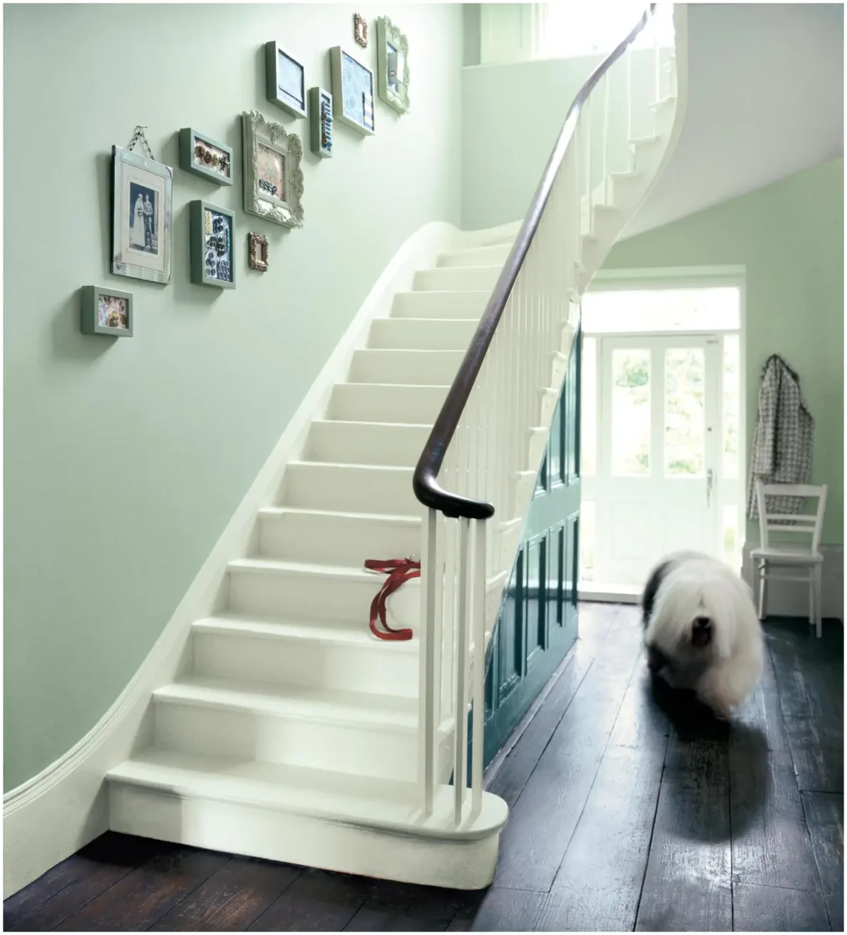Dulux Easycare Willow Tree Matt 2.5L - Image 13