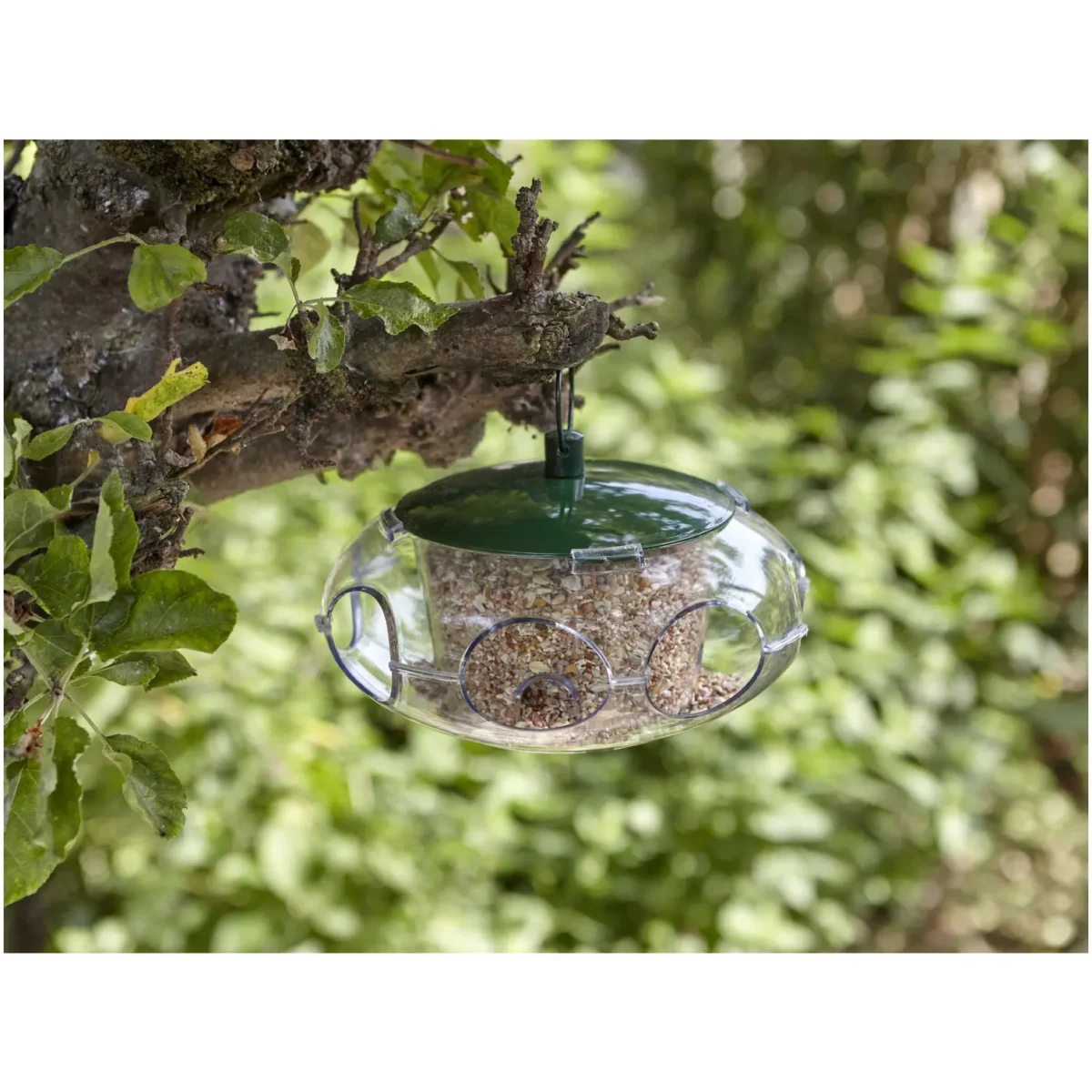 Peckish Bird Feeder Small - Image 2