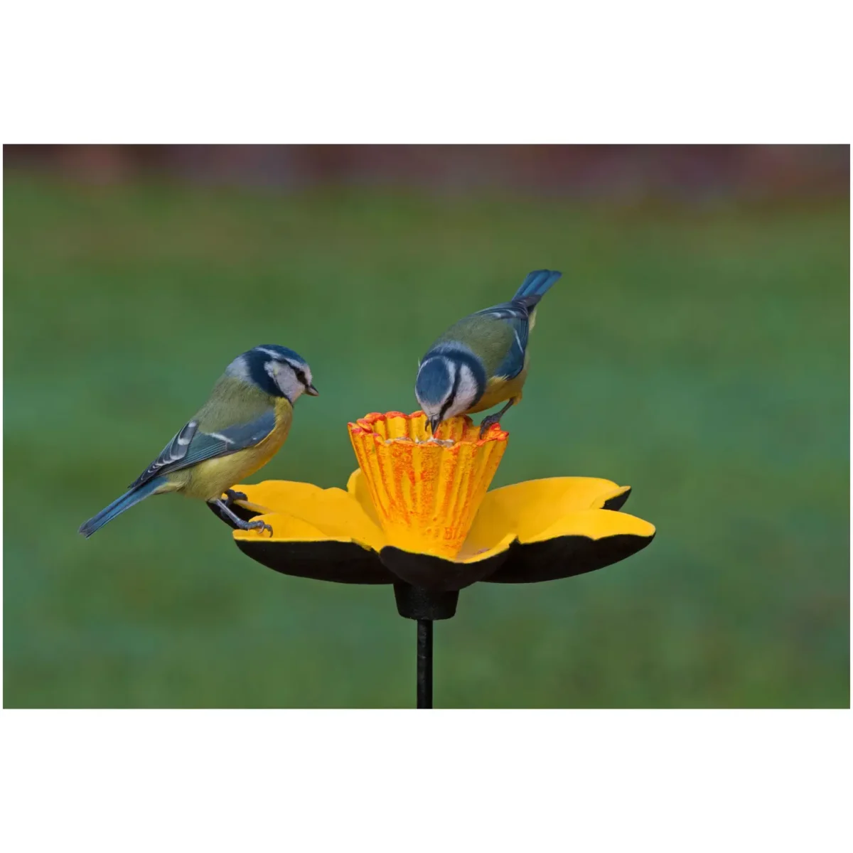 Gardman Daffodil Feeding Dish C/Iron - Image 5