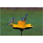 Gardman Daffodil Feeding Dish C/Iron - Image 5