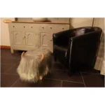 Georgette the Grey Highland Cow Footstool - Image 5