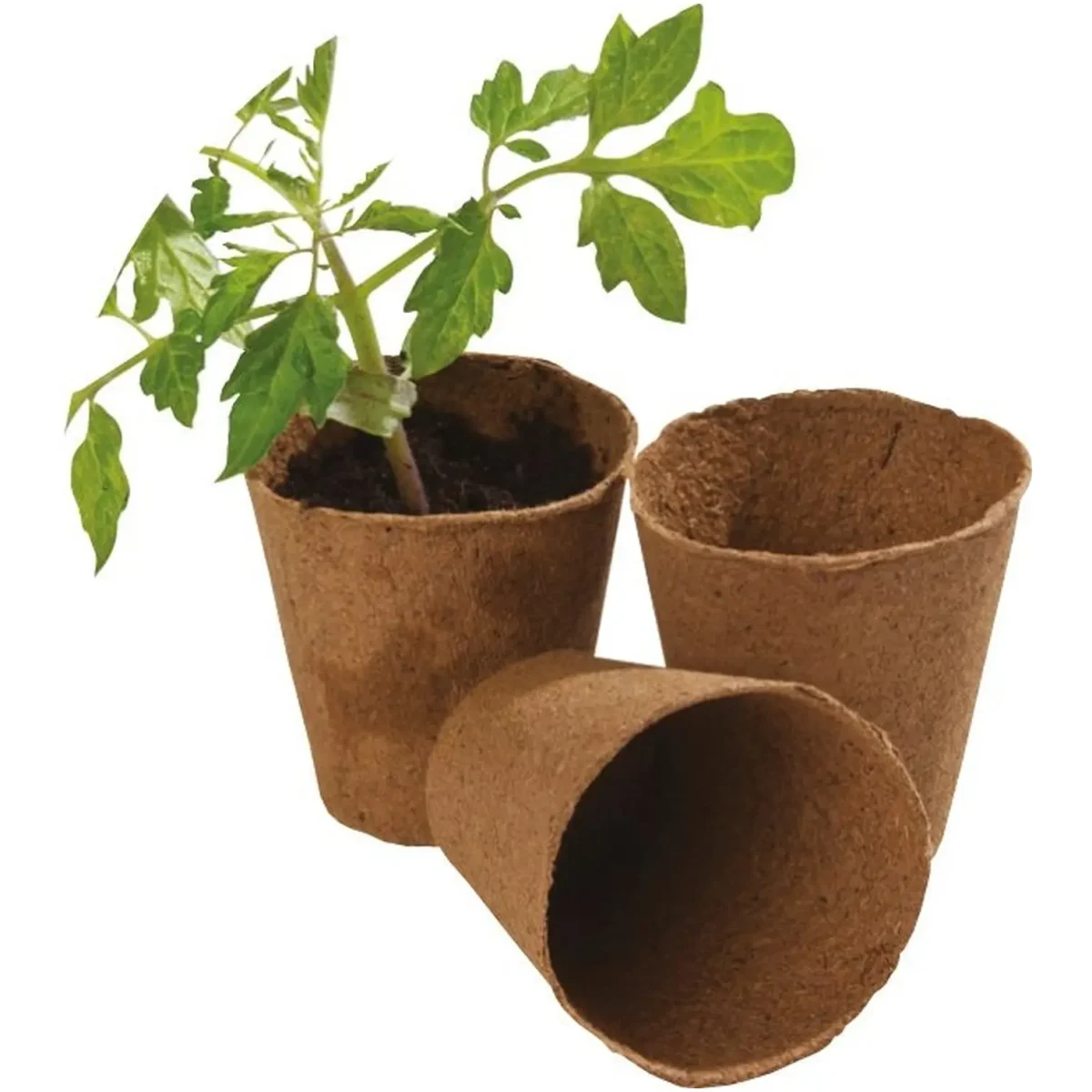 Round Fibre pots 8cm pk12 - Image 2