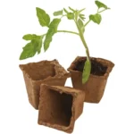 Square Fibre Pots 6cm pk20 - Image 2