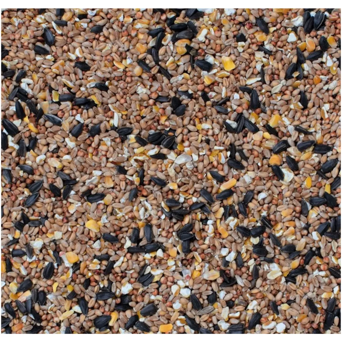 Henry Bell Wild Bird Food Superior Seed Mix 4kg - Image 2