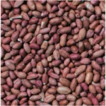 Henry Bell Wild Bird Food Peanuts 12.55kg - Image 2