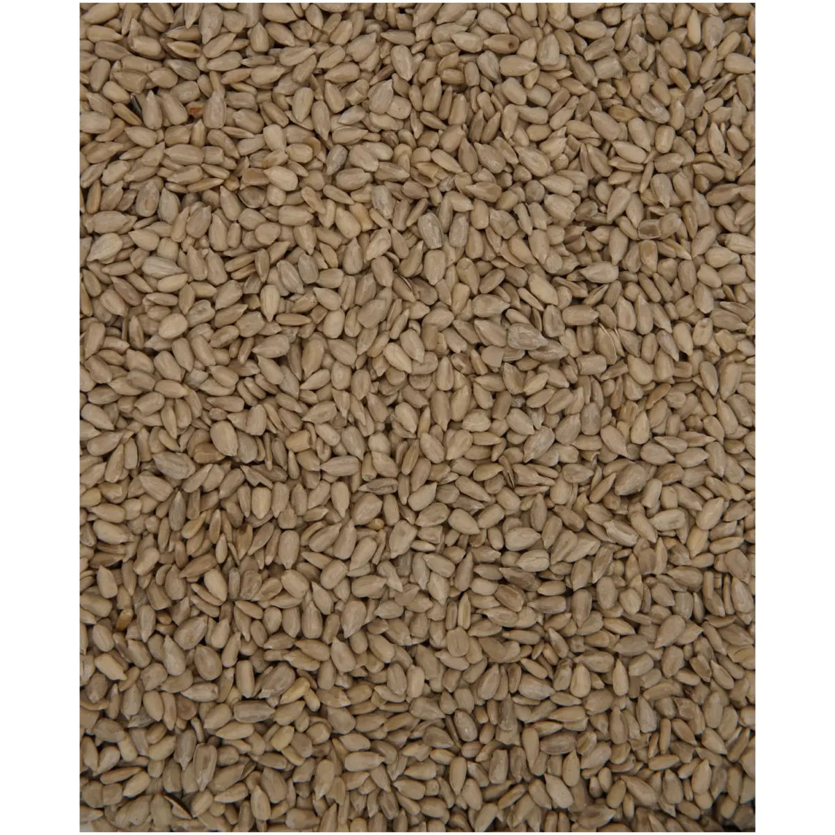 Henry Bell Wild Bird Food Sunflower Hearts 2kg - Image 2