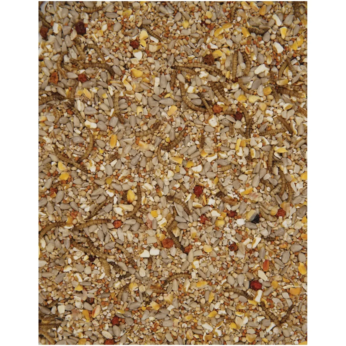 Henry Bell Wild Bird Food Robin Blend 1.8kg - Image 2