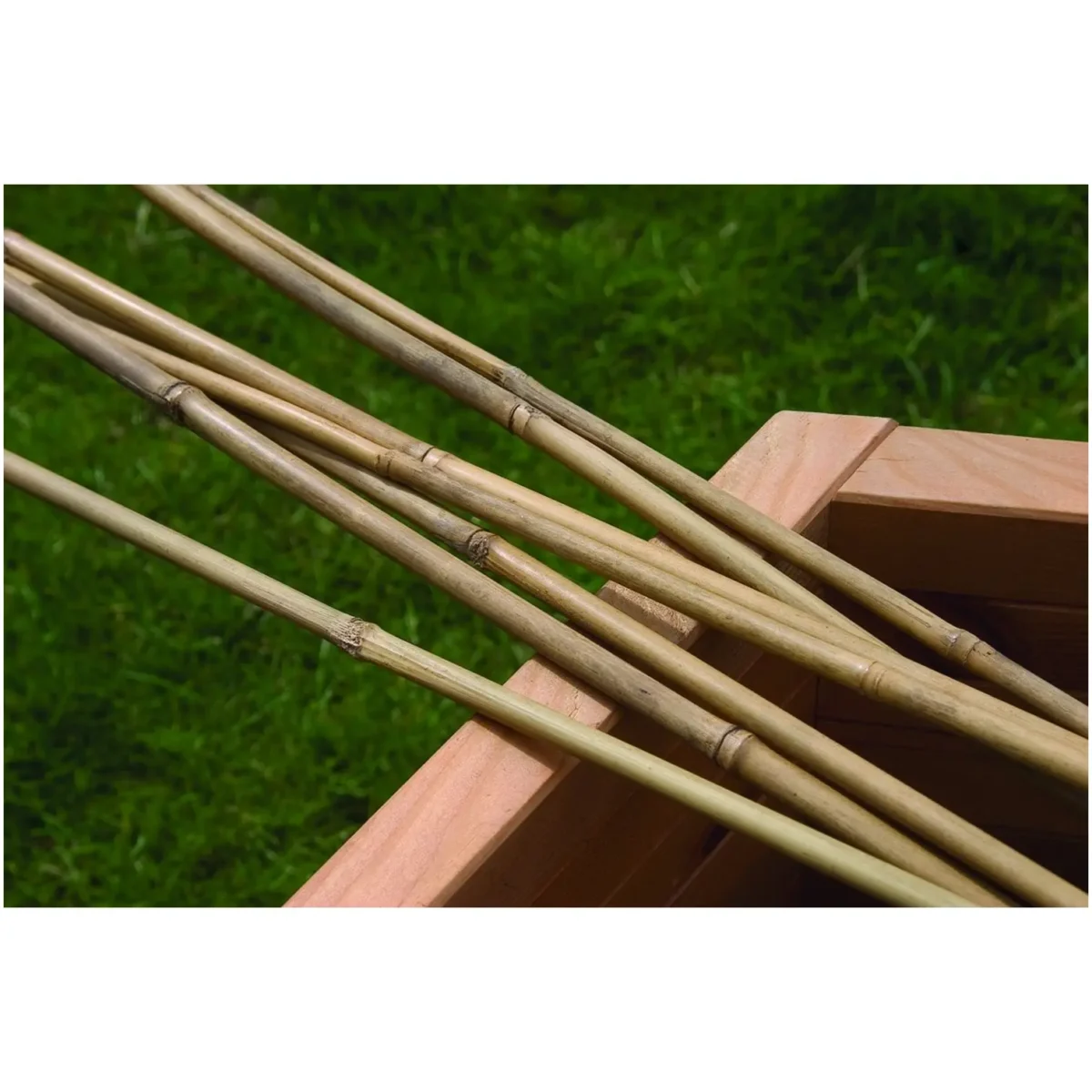 Bamboo Canes 2.4m Pack of 10 - Image 1