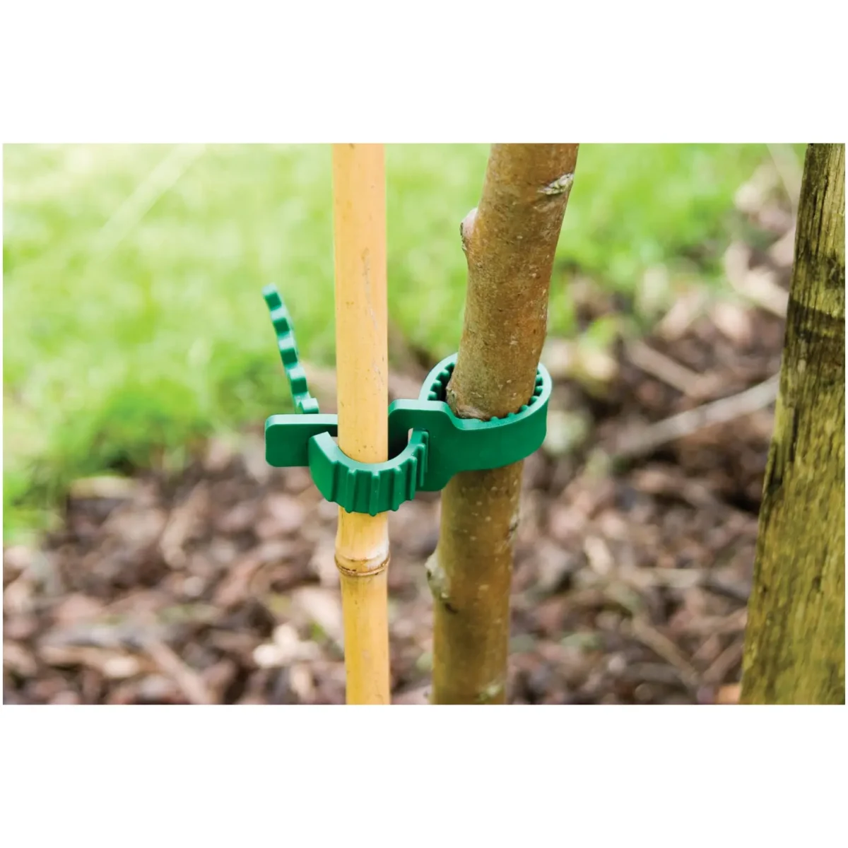 Tenax Shrub Ties 25cm (4) - Image 1