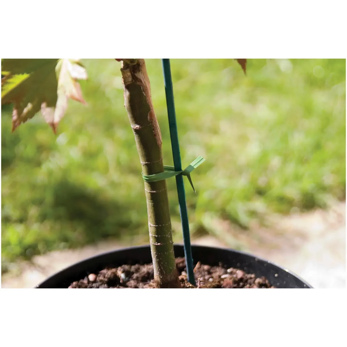 TwisteeTies 15cm 6"  pk100 - Image 1