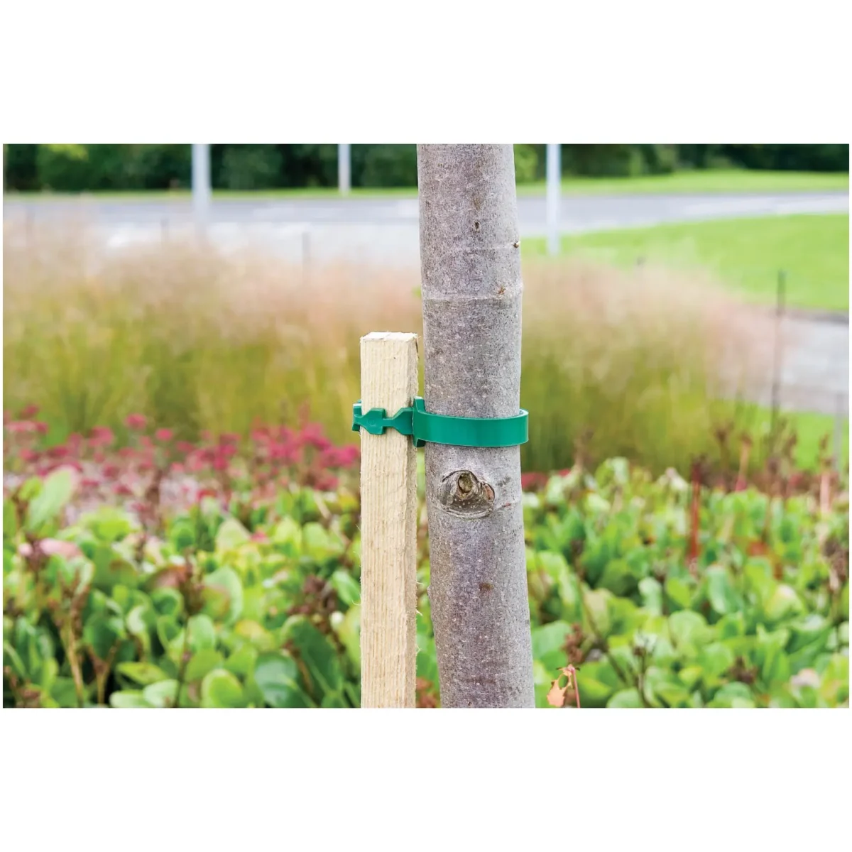 1.2m x 30mm Tree Stake1.2m x 30mm Tree Stake - Image 1