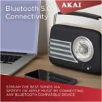 Itek A60048BLK Vintage Radio AM & FM Bands - Image 5