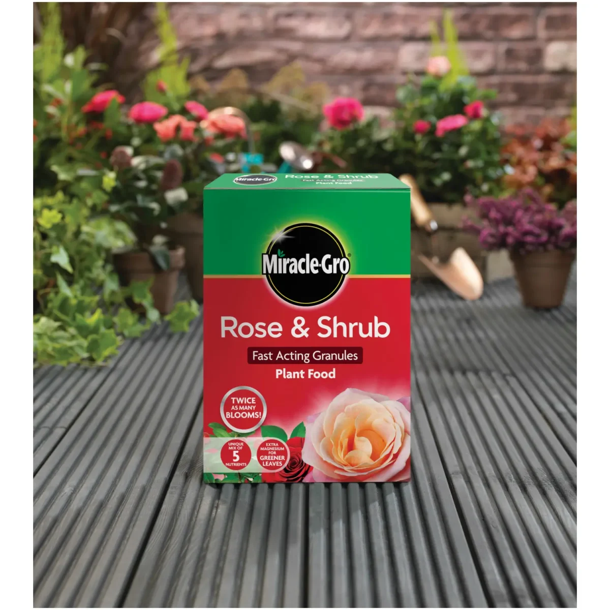 Miracle-Gro Rose & Shrub Food 3kg - Image 3