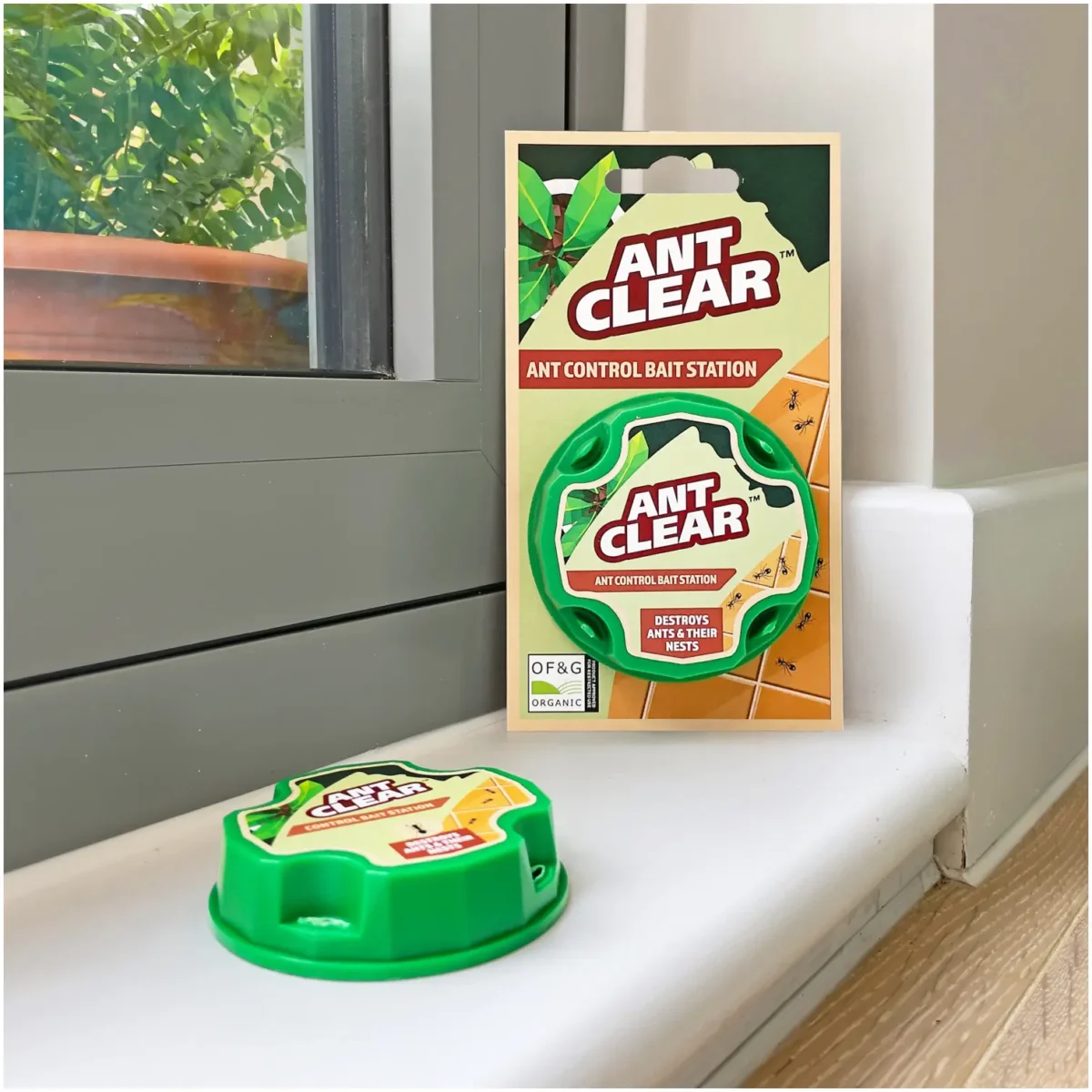 AntClear Ant Control Bait Station Card of 2 - Image 3