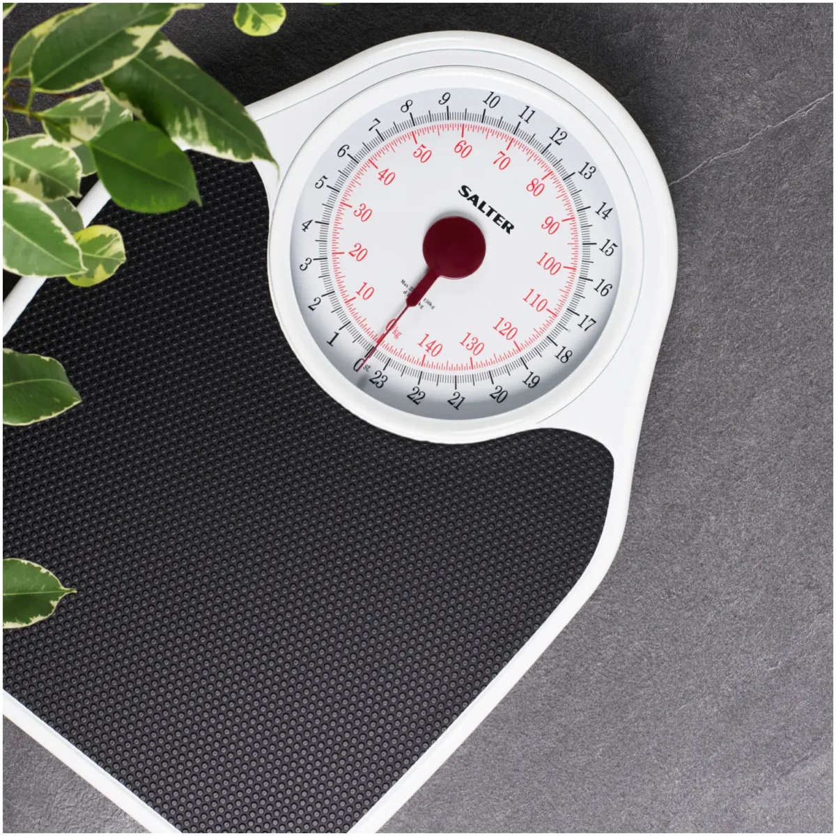 Salter Doctors Style bathroom Scale - Image 2