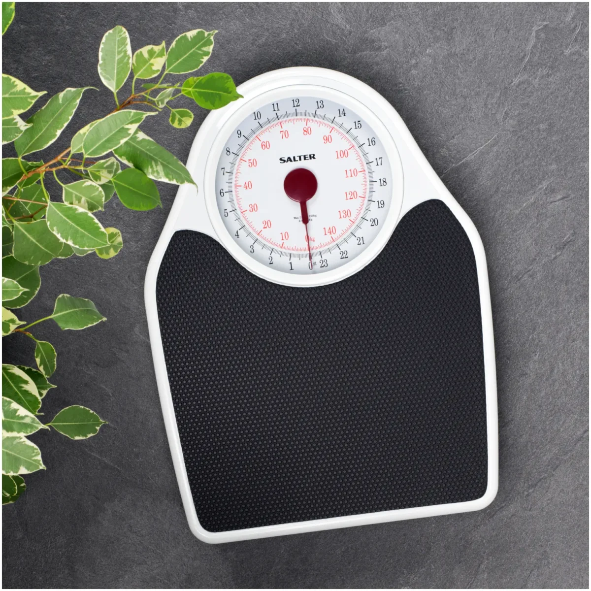 Salter Doctors Style bathroom Scale - Image 3