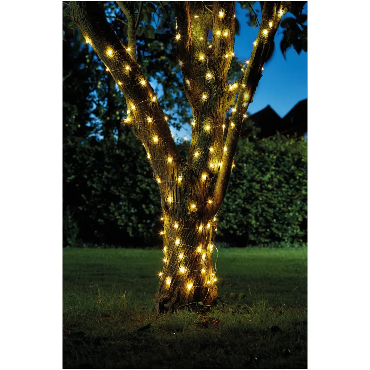 Smart Garden 50 String Light - Image 1