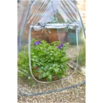 Smart Garden Pop-Up GroZone 60x50x50cm - Image 4