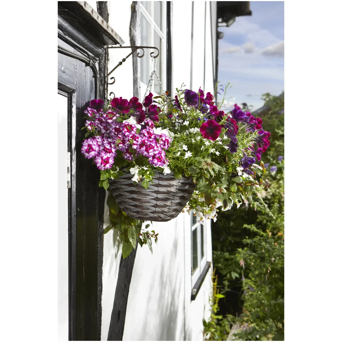 Smart Garden Hanging Basket Rattan Pinto 14" - Image 3