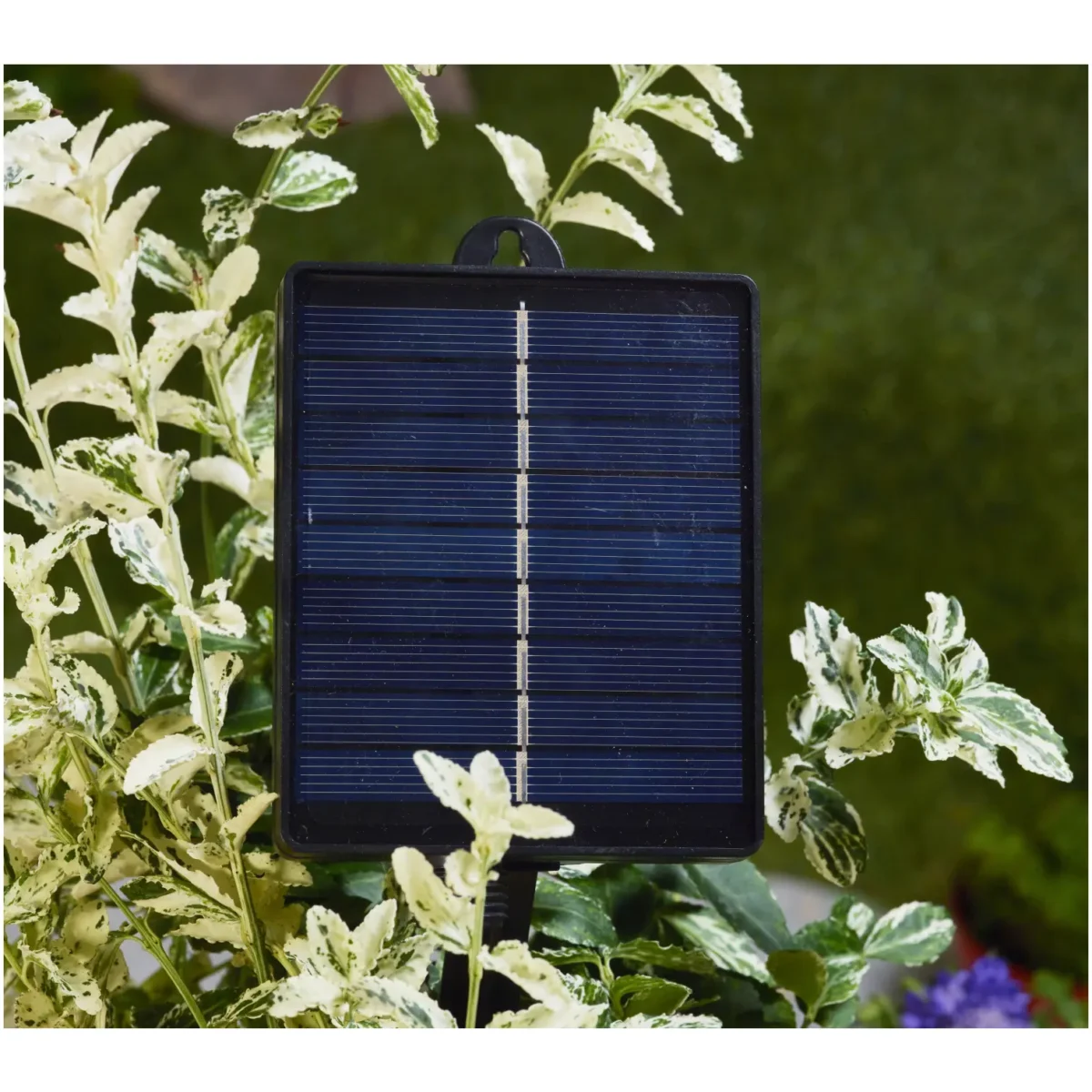 Smart Garden Festoon Dual Colour Set of 30 - Image 5