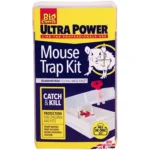 Big Cheese Mouse Trap Kit