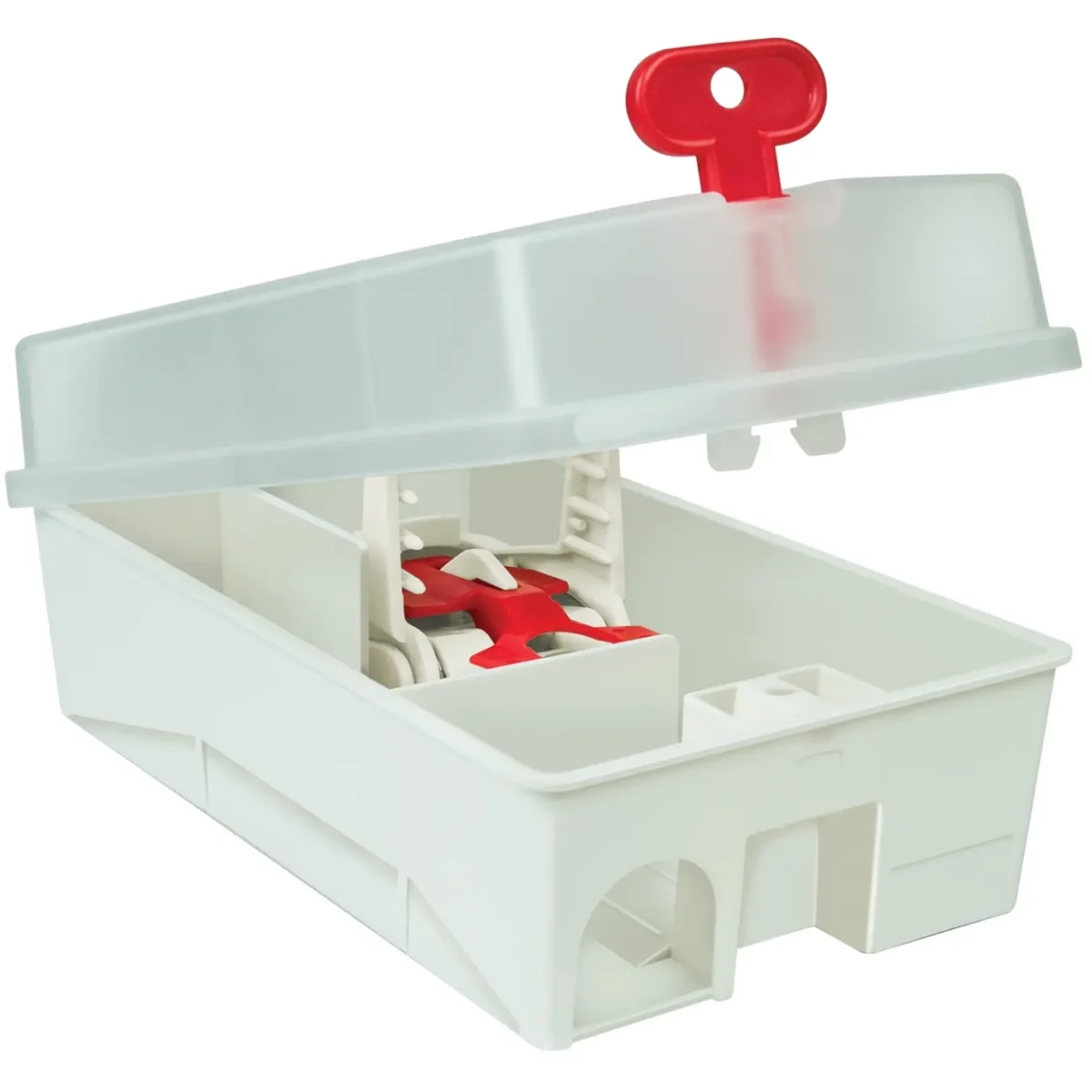 Big Cheese Mouse Trap Kit - Image 2