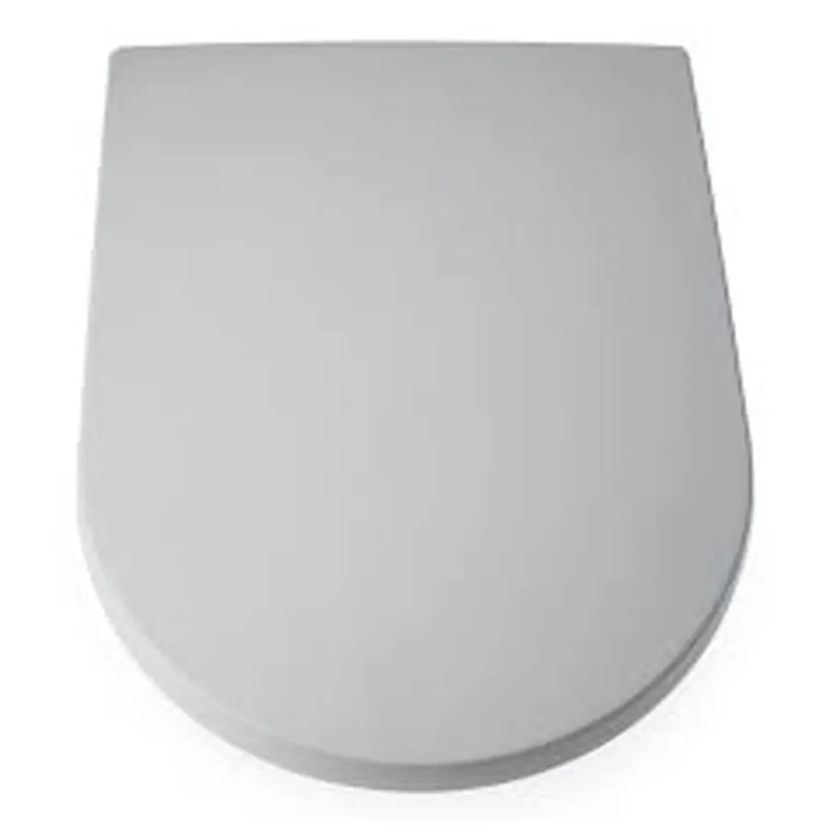 Bluecanyon D-Shape Duraplastic Toilet Seat - Image 1