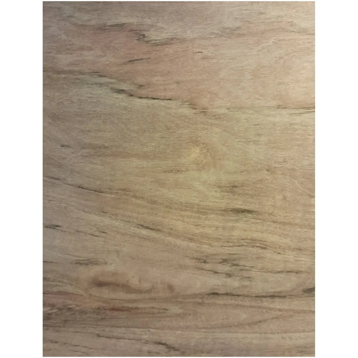 1220mm x 610mm x 12mm Plywood - Image 1