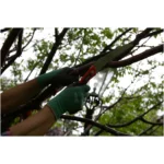 Wilkinson Sword Folding PruningSaw - Image 3