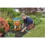 Westland Bulb Compost Peat Free 20ltr - Image 2
