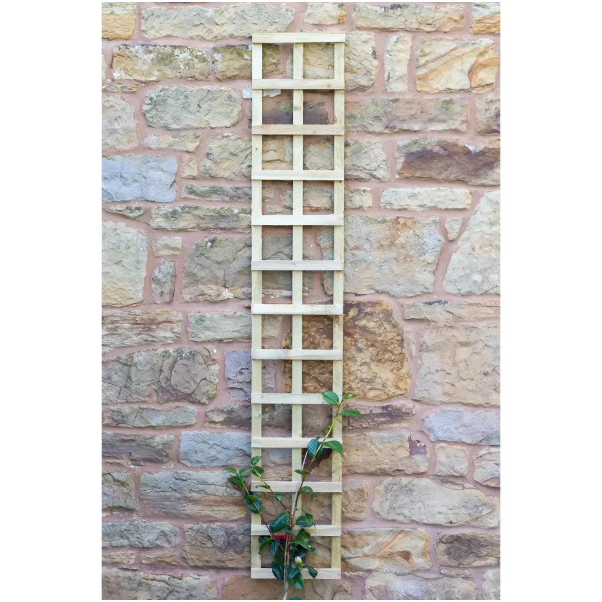 1.8mx305mm Fixed Trellis - Image 2