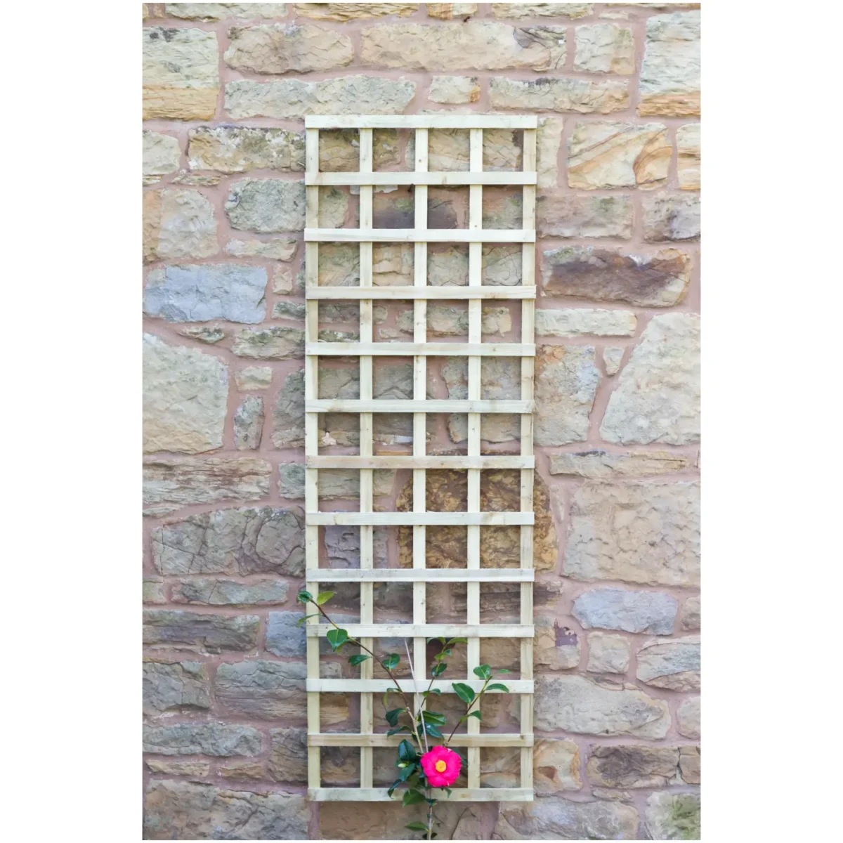 1.8mx615mm Fixed Trellis - Image 2