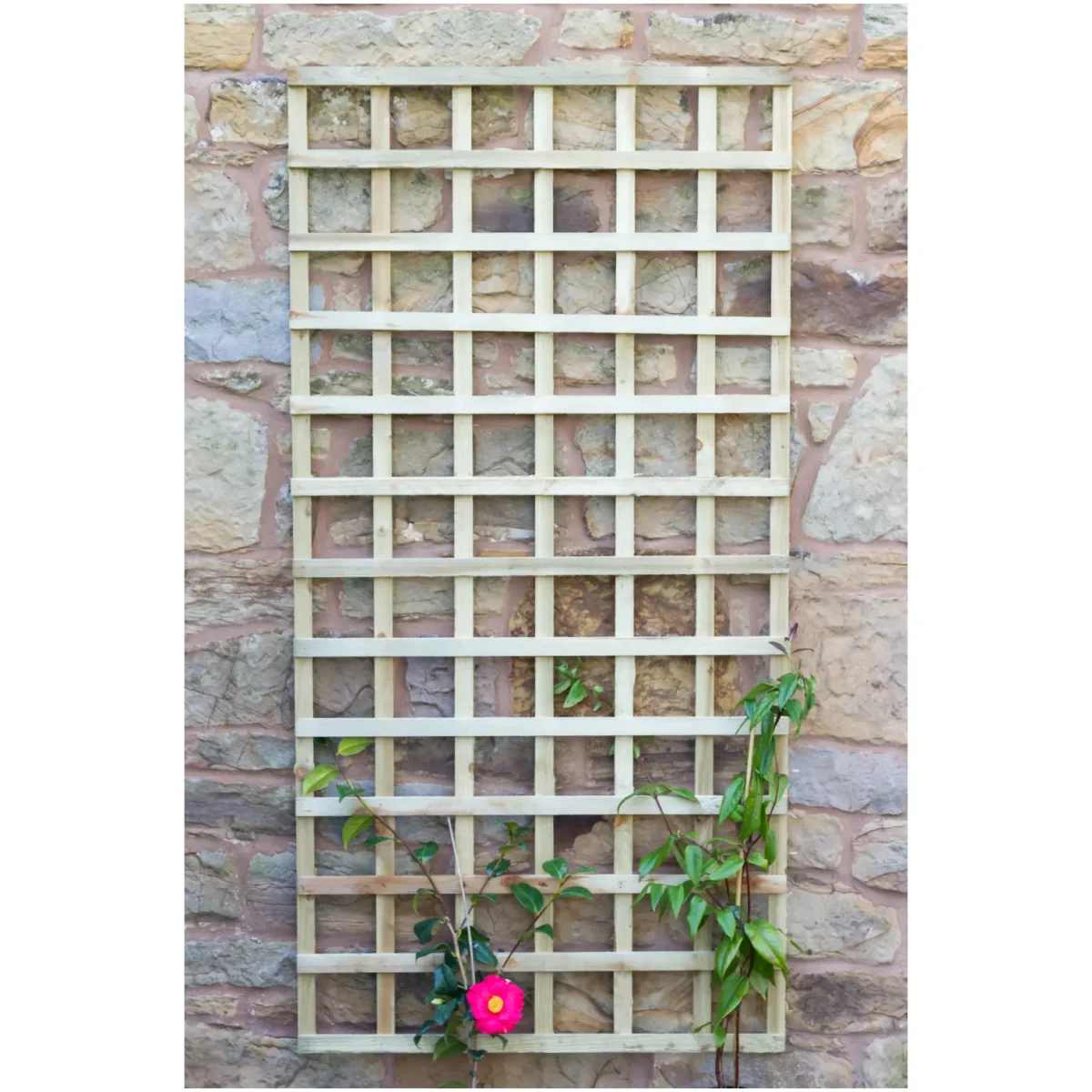 1.8mx915mm Fixed Trellis - Image 2
