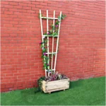 1.8m x 630mm Fan Trellis Tan - Image 2