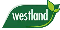 Westland Jack's Magic